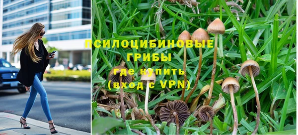 хмурый Абинск