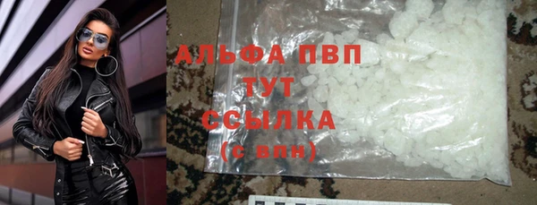 ГАЛЛЮЦИНОГЕННЫЕ ГРИБЫ Корсаков